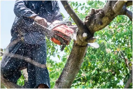 tree services Hermiston